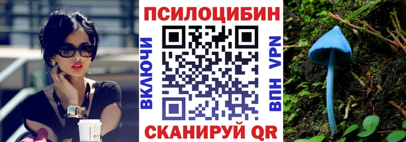 Псилоцибиновые грибы Psilocybe  Уварово 