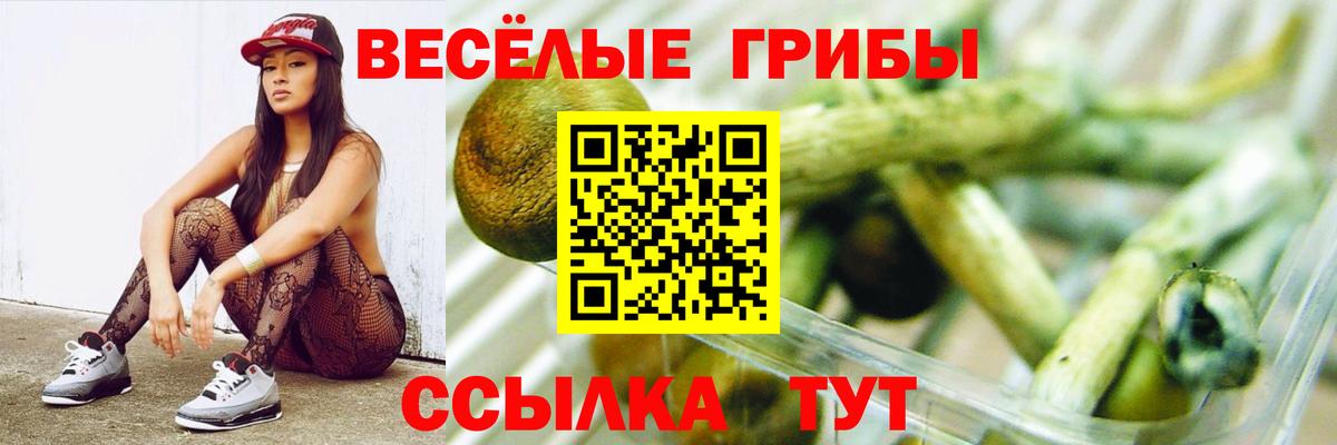Уварово  Псилоцибиновые грибы Psilocybe  Вход с VPN 